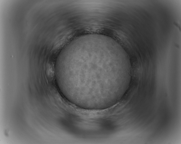 X0000103900040200809191249
