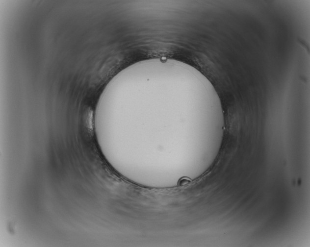 X0000103900041200809191249