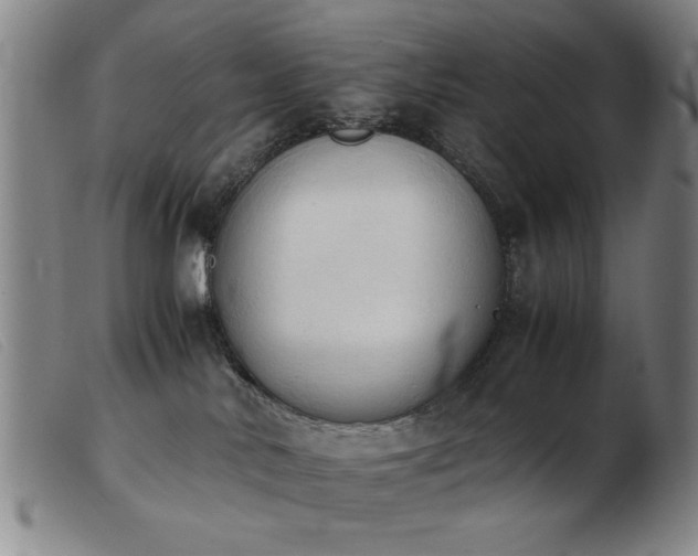 X0000103900042200809191249