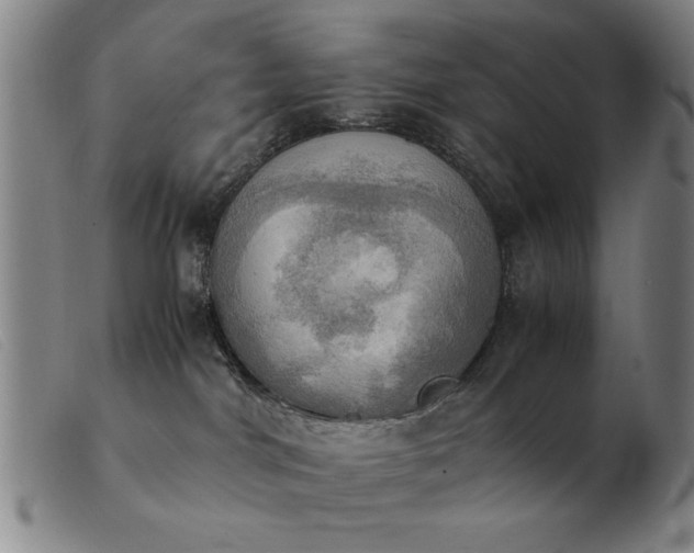 X0000103900044200809191249