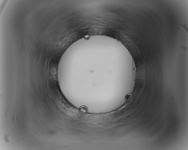 X0000103900045200809191249