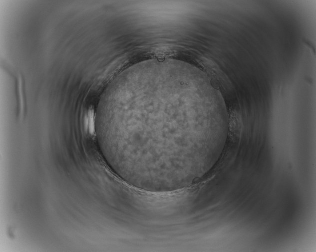 X0000103900046200809191249