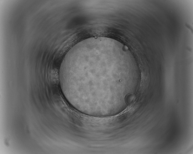 X0000103900048200809191249