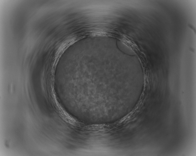 X0000103900049200809191248