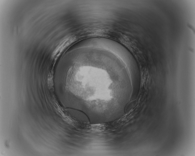 X0000103900050200809191248