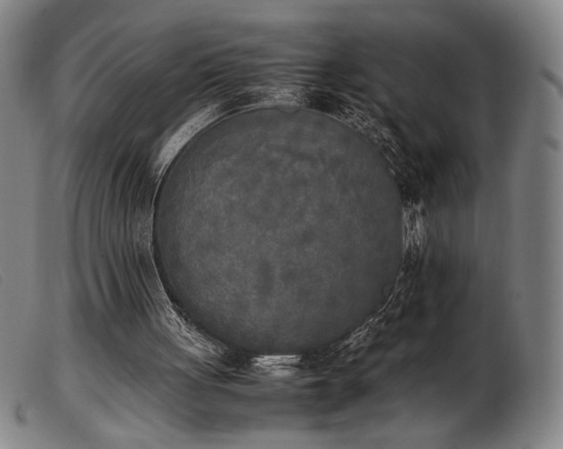 X0000103900051200809191248