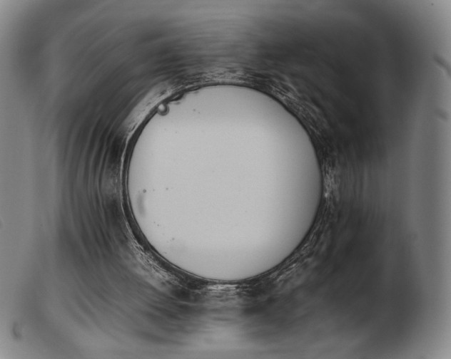 X0000103900052200809191248