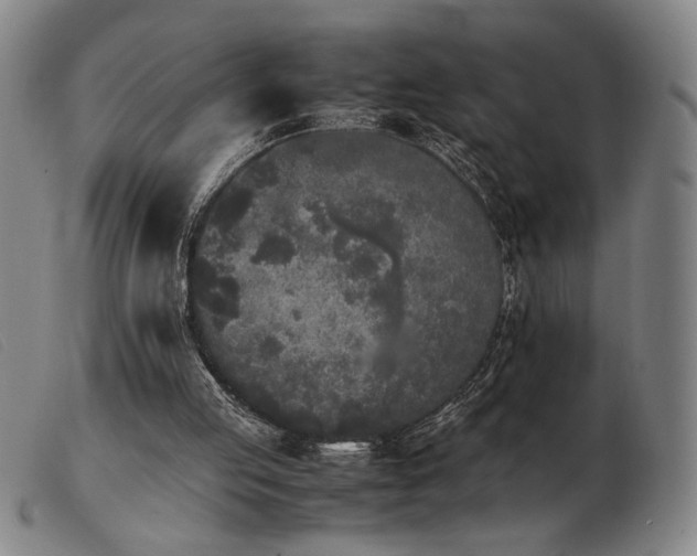 X0000103900053200809191248