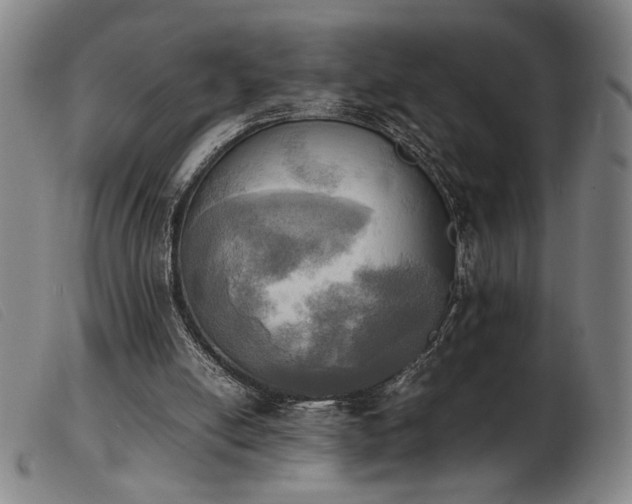 X0000103900054200809191248