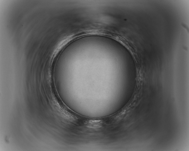 X0000103900055200809191248