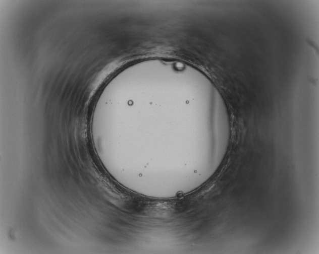 X0000103900056200809191248