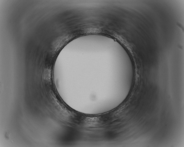 X0000103900057200809191248