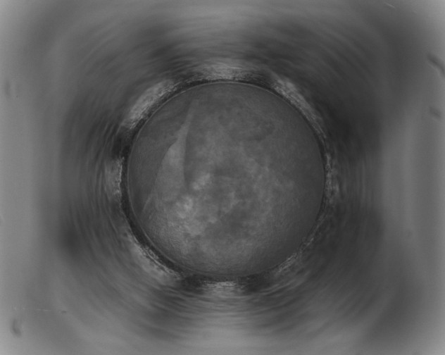 X0000103900058200809191248
