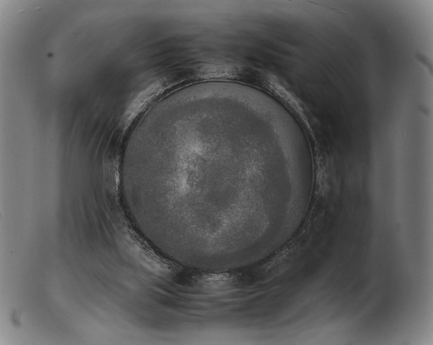X0000103900059200809191248