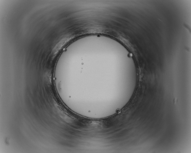X0000103900060200809191248