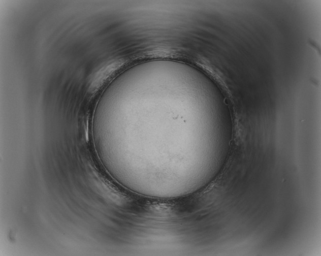 X0000103900062200809191248