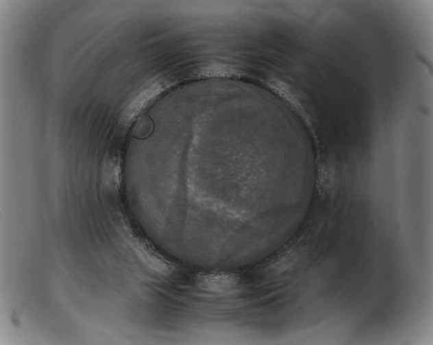 X0000103900063200809191248