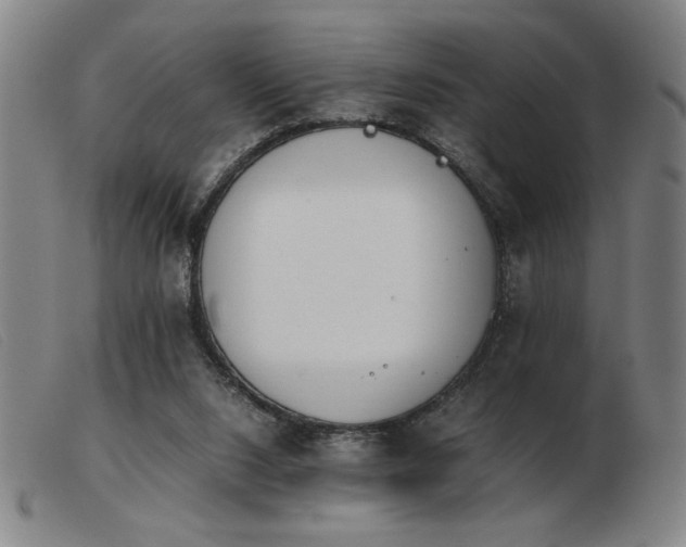 X0000103900064200809191248