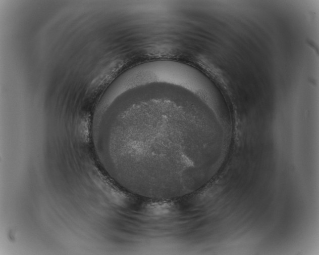 X0000103900065200809191248