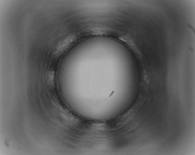X0000103900066200809191248