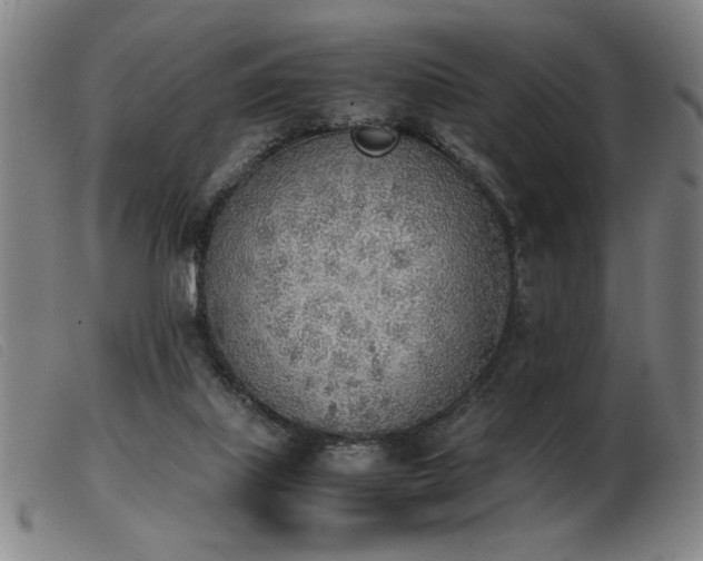 X0000103900067200809191248