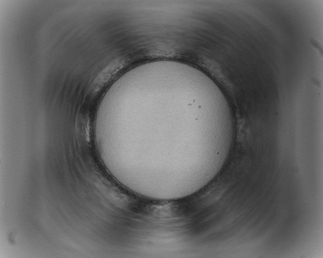 X0000103900068200809191248