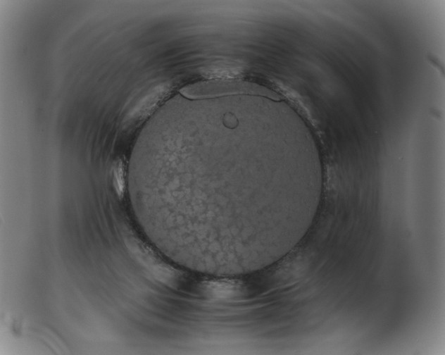 X0000103900069200809191248