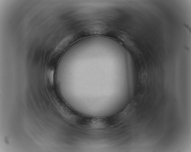 X0000103900070200809191248