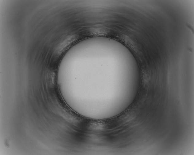 X0000103900071200809191248