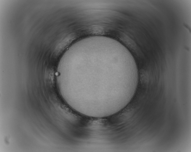 X0000103900072200809191248