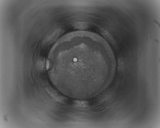 X0000103900073200809191248