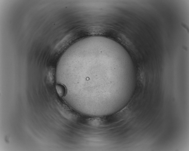 X0000103900074200809191248