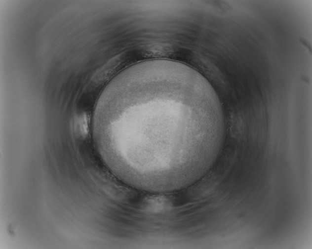 X0000103900075200809191248