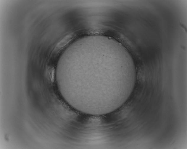 X0000103900076200809191248