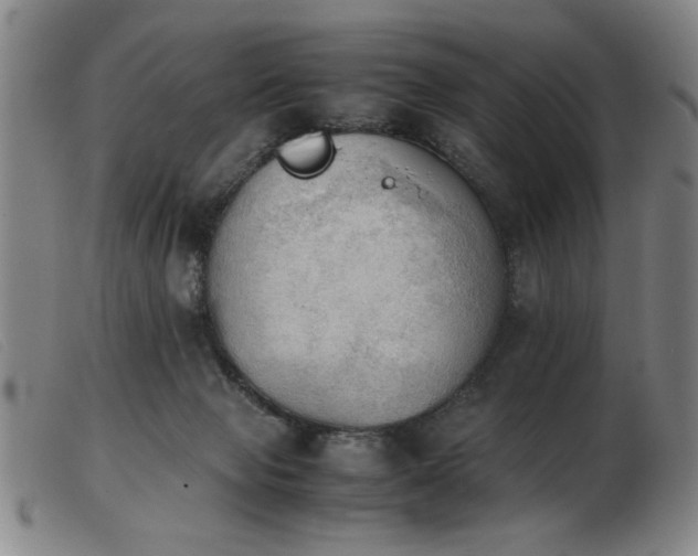 X0000103900077200809191248