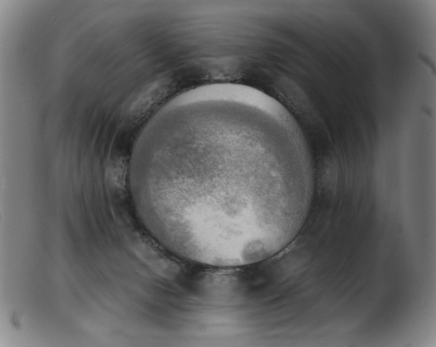 X0000103900078200809191248