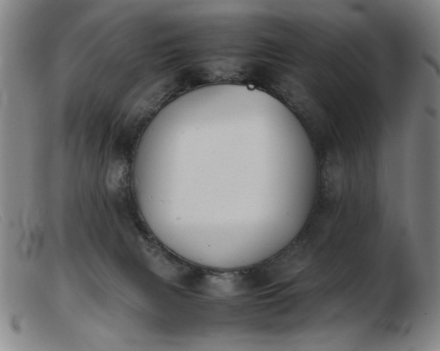 X0000103900079200809191248