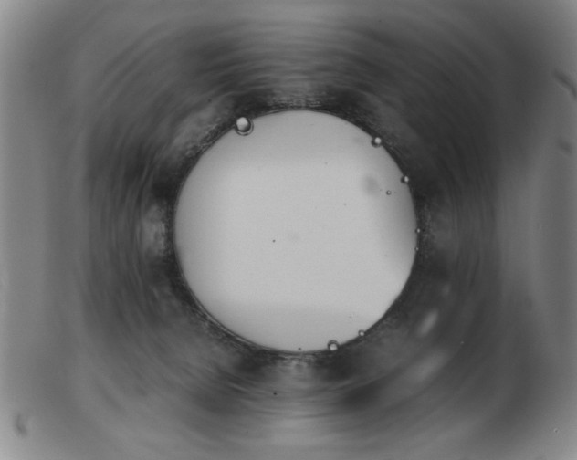 X0000103900080200809191248