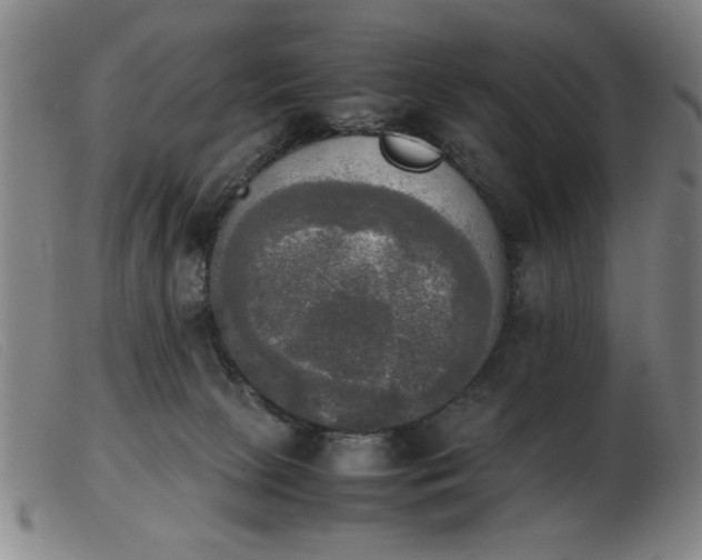 X0000103900081200809191248