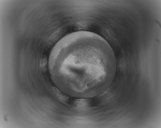 X0000103900082200809191248