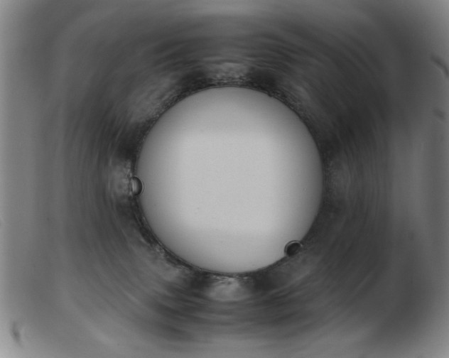 X0000103900083200809191248