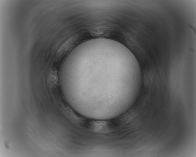X0000103900085200809191248