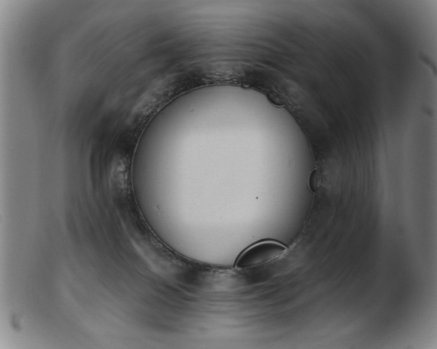 X0000103900086200809191248