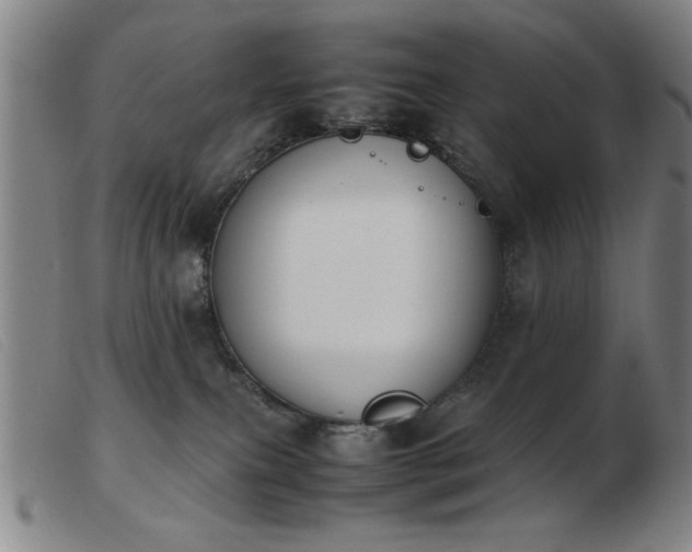 X0000103900087200809191248