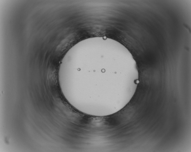 X0000103900088200809191248