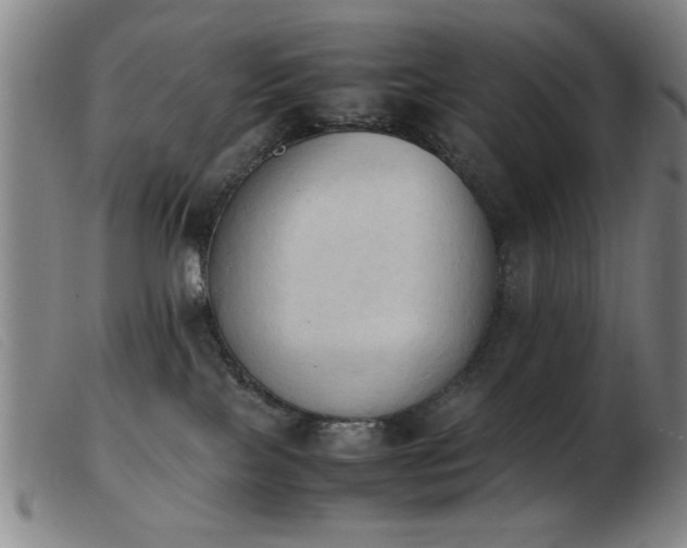 X0000103900089200809191248