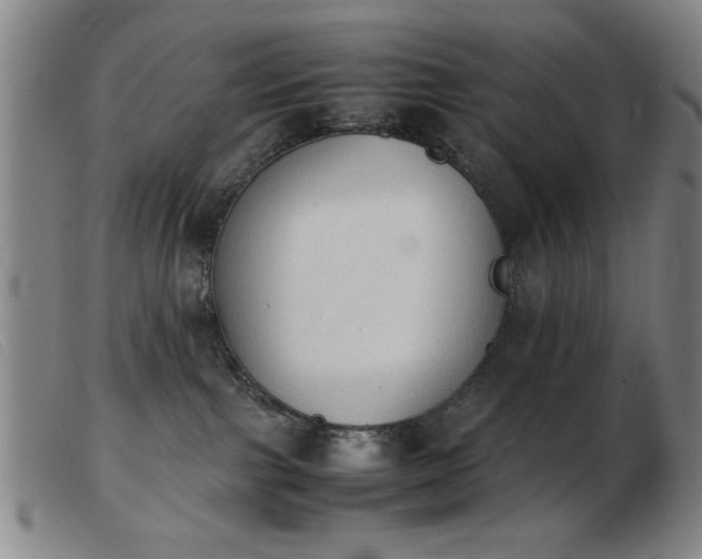 X0000103900091200809191248