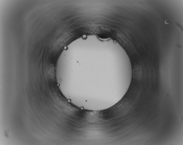 X0000103900092200809191248