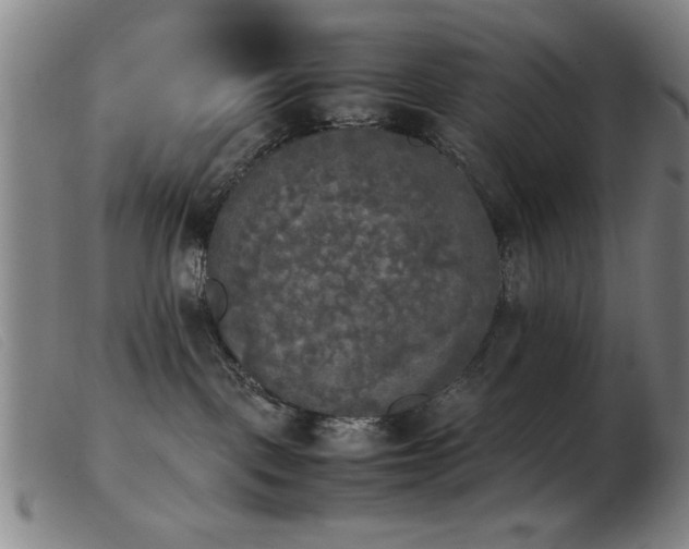 X0000103900093200809191248