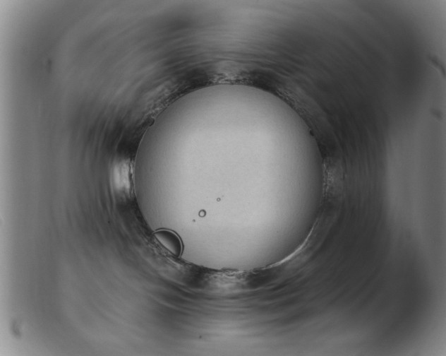 X0000103900094200809191248